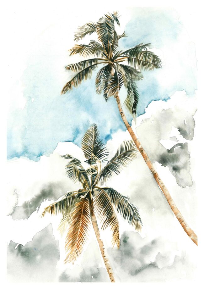 Island Palms 01