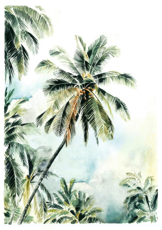 Island Palms 02