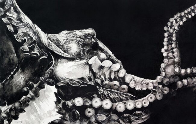 Fluid Octopus 01