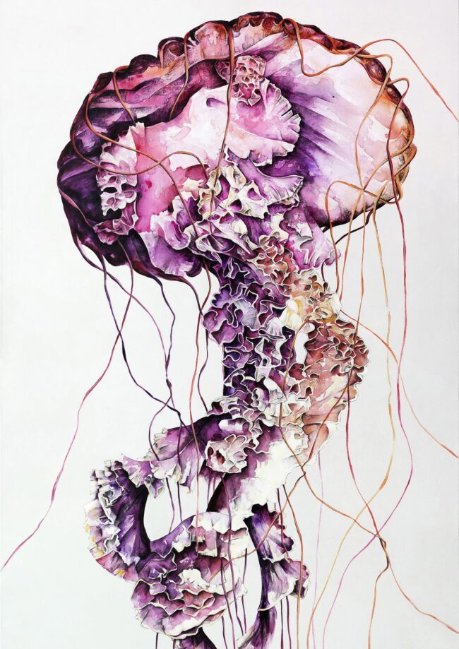 Freeflow Jellyfish 12