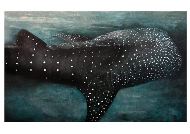 Whale Shark
